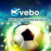 vebozttcc